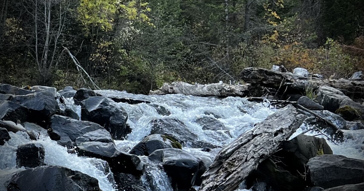 Thursday Headlines: CASA, Belgrade Fire, Festival of Trees