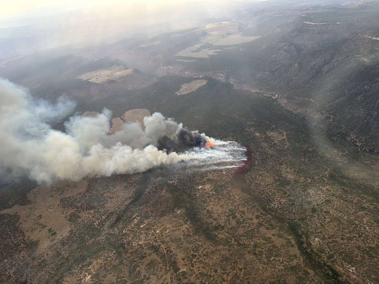 Two Track Fire in Mesa County