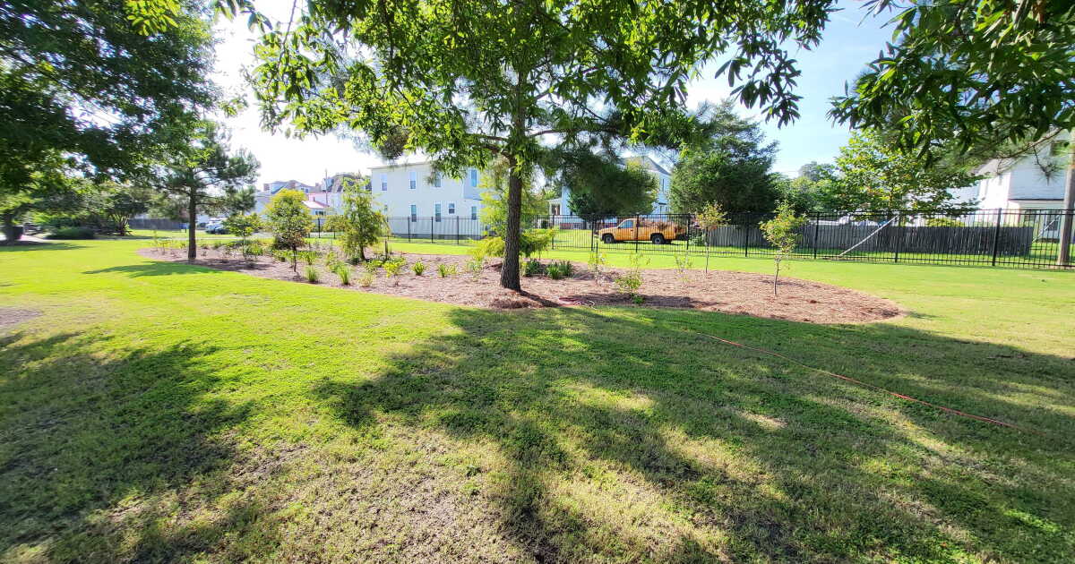 Central Park in Cape Charles works on drainage swale to help Chesapeake Bay - Vimarsana News