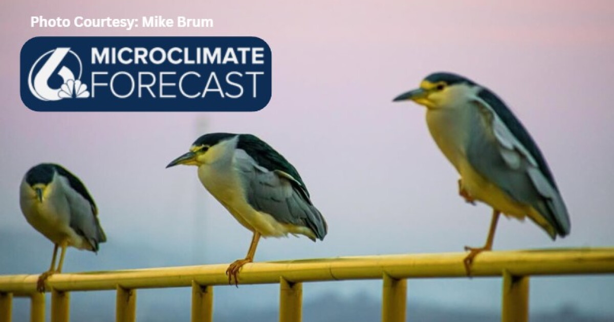 Fall-like weather continues, with a slight warm up this weekend