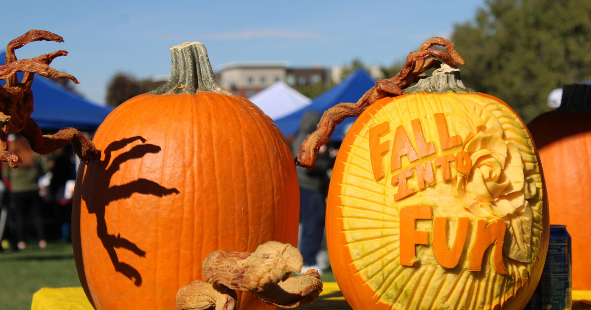 Aurora's free family-friendly festivities at Fall Into Fun return ...