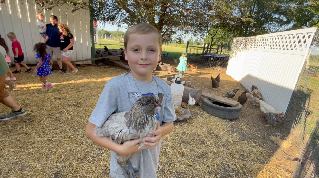 Farmschool at Lolly & Pops in Raymore, Missouri