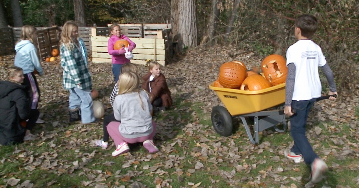 Students take charge of elementary school's food compost program - Vimarsana News