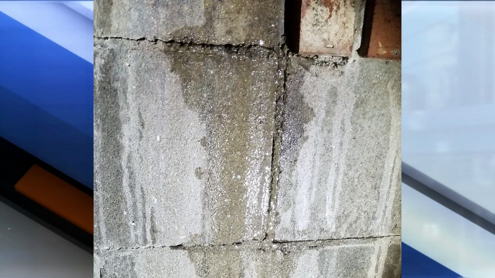 mold2.png