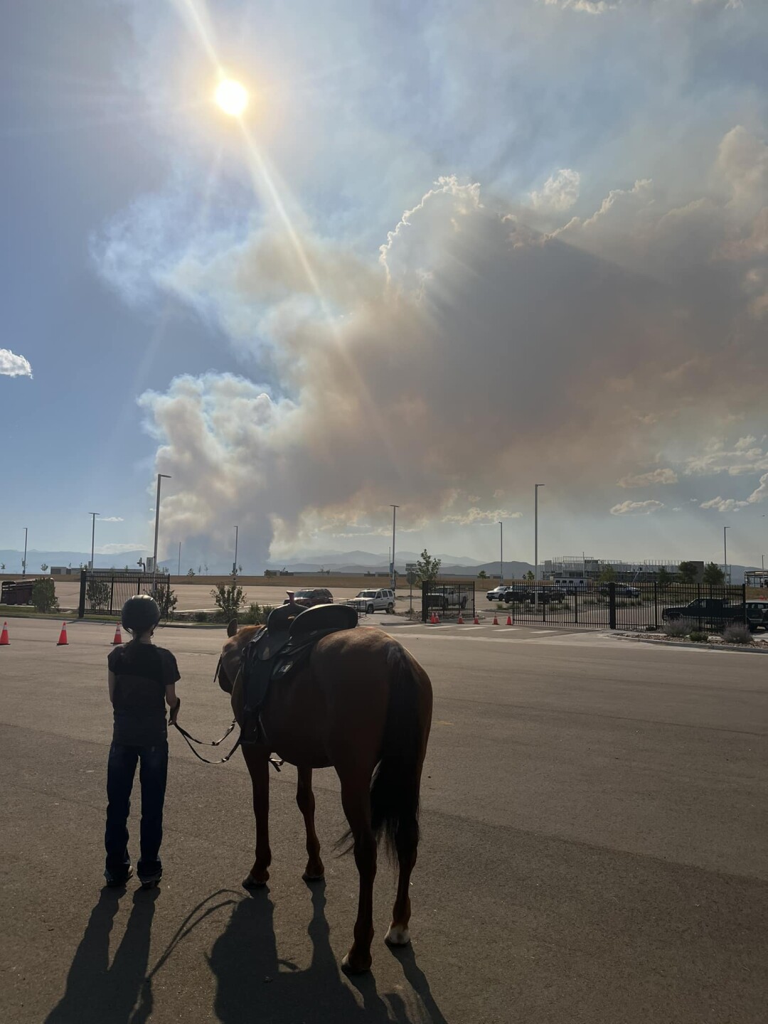 shelly weimer cooper.jpg