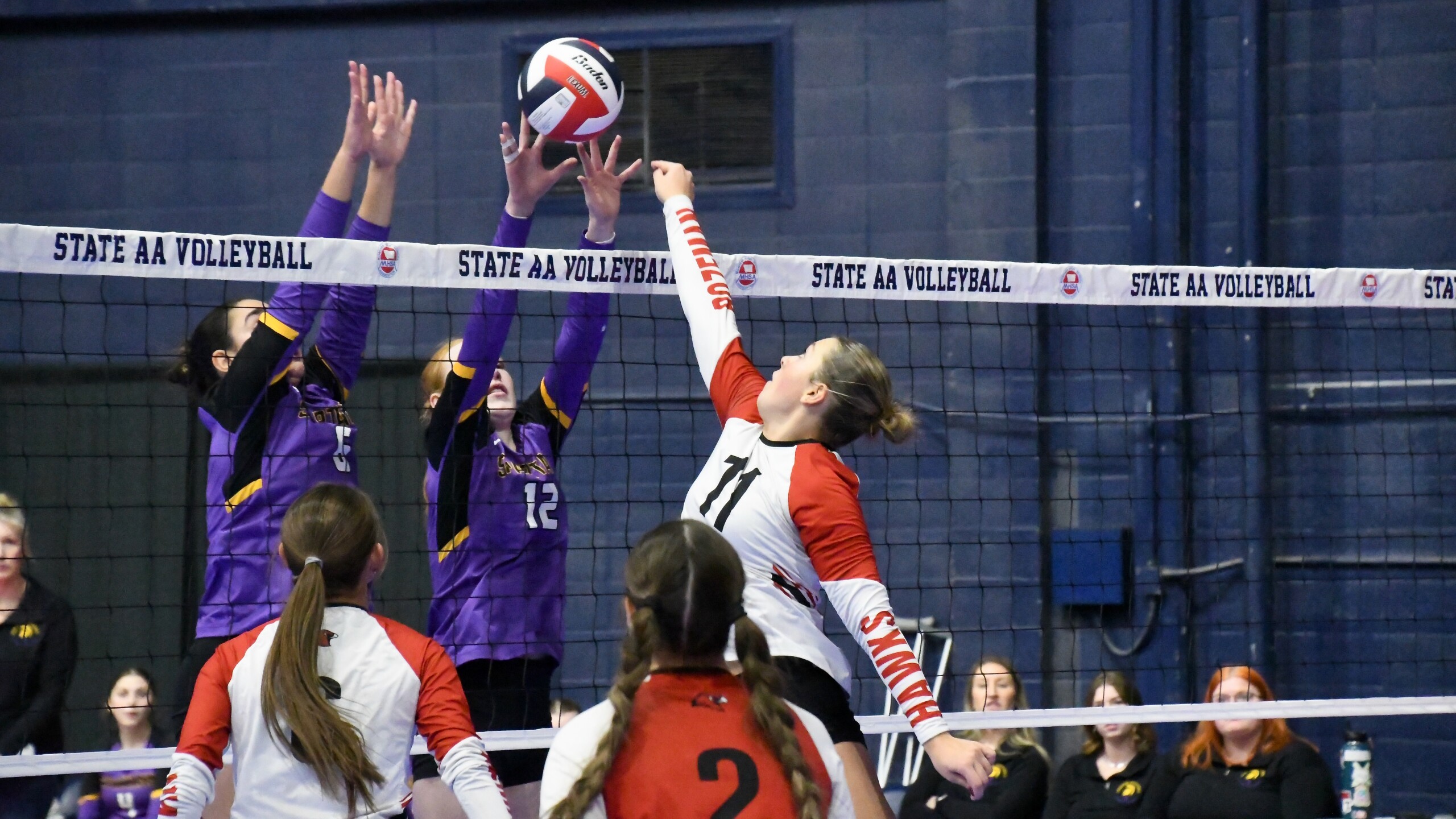 State volleyball