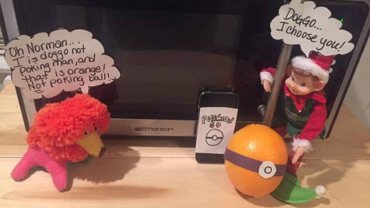 2016 Elf on the Shelf Photos & Ideas