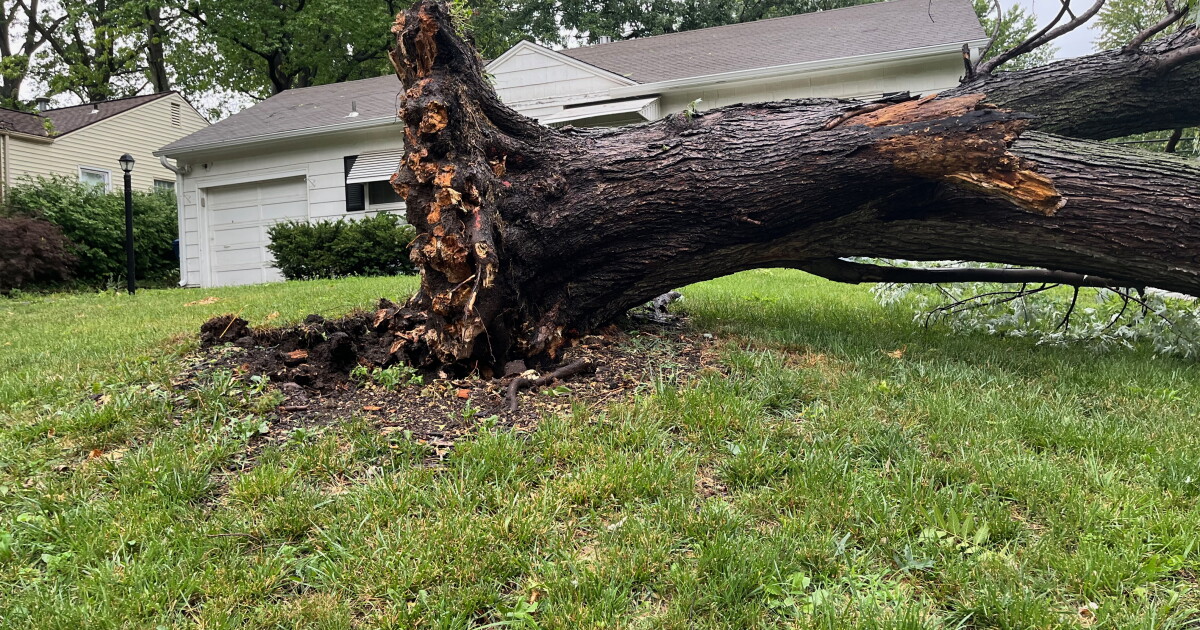 Storm debris filled the streets of Mission following Friday's storms - Vimarsana News