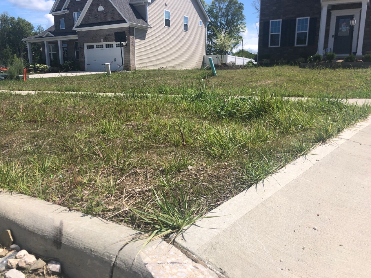 landscaping contractor 1