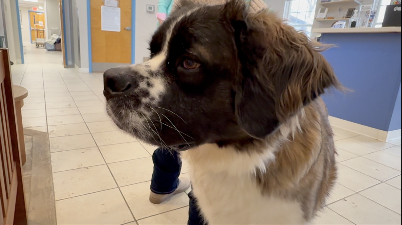 Screenshot 2026-01-16 at 5.09.44 PM.png