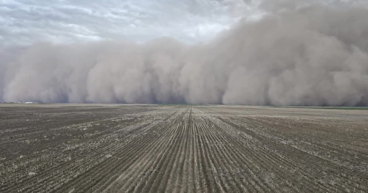 Montana Ag Network: reactions to recent massive dust storm