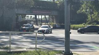 Tampa shooting