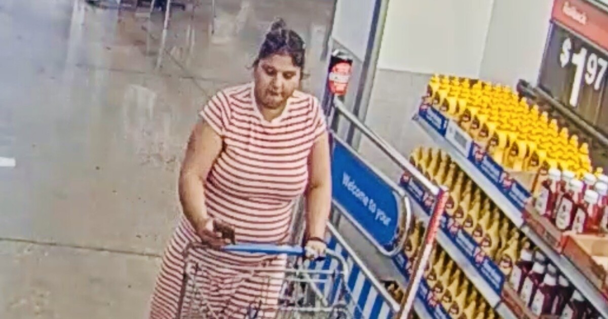 Mother allegedly left children in car to shop at Walmart
