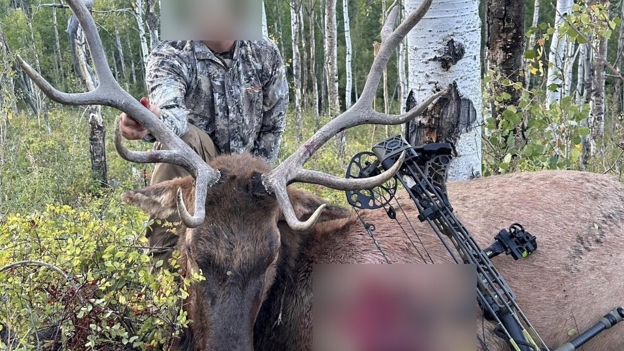 Utah Poachers Buster