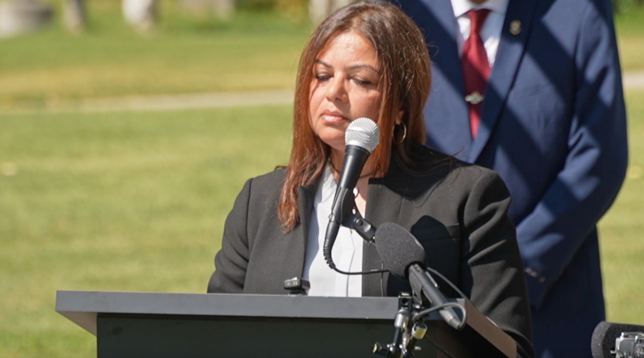 FBI special agent Mehtab Syed
