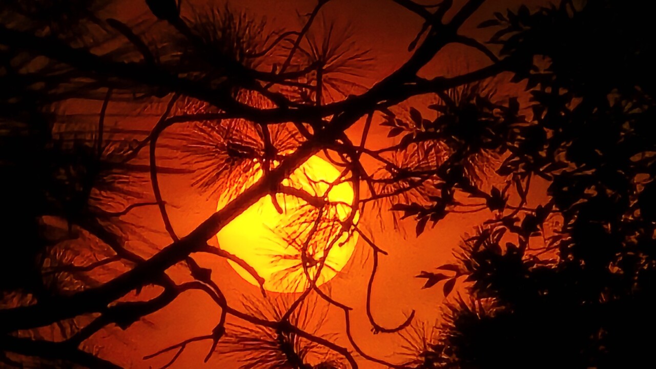 Smoky Skies Monday