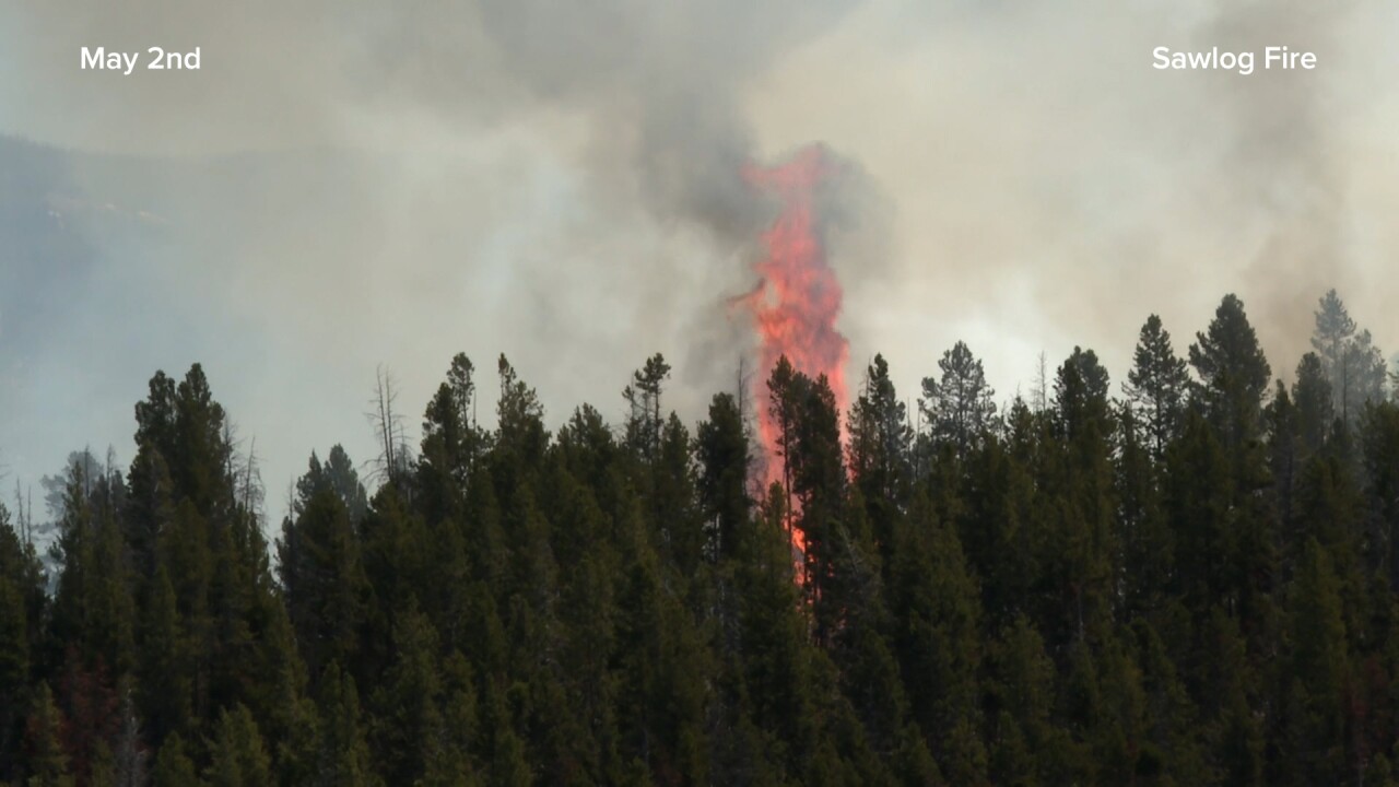 Sawlog Fire.jpg