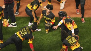 Savannah Bananas Baseball