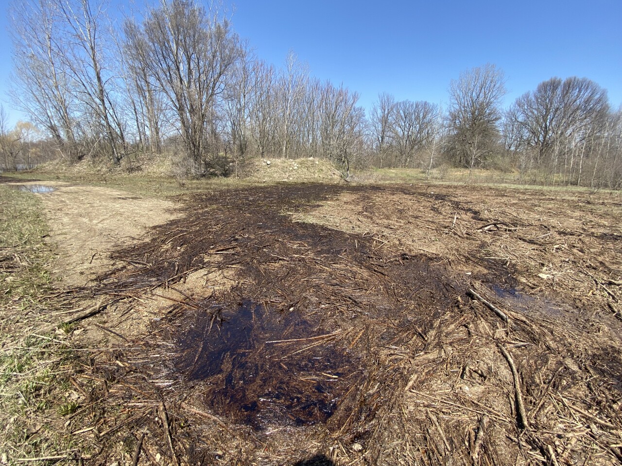 Oil spill on lake near Bend Area pic 3.jpg