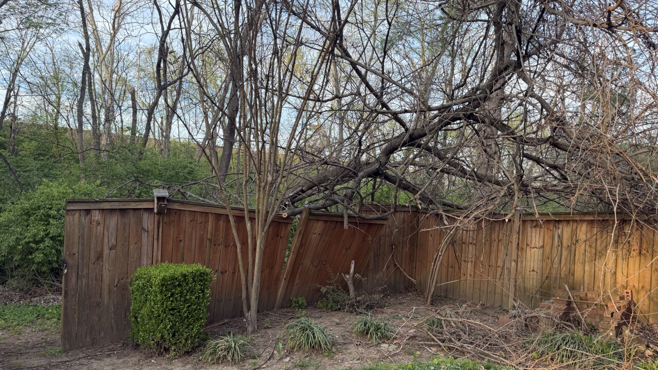 Hugh Gracey's fence