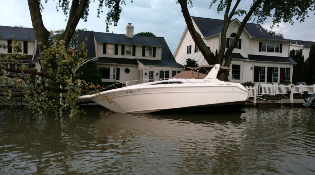 Tree on boat vermilion