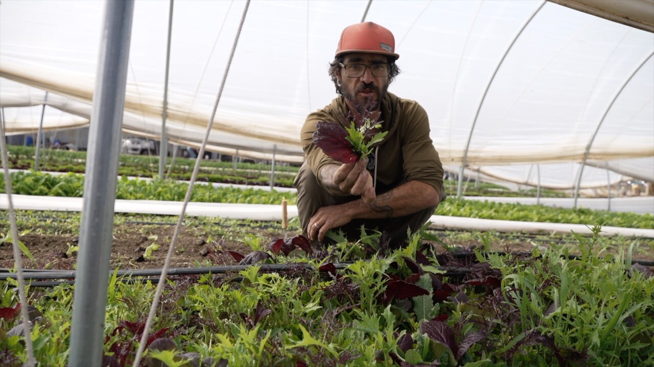 Cody Jurbala Farm.jpg