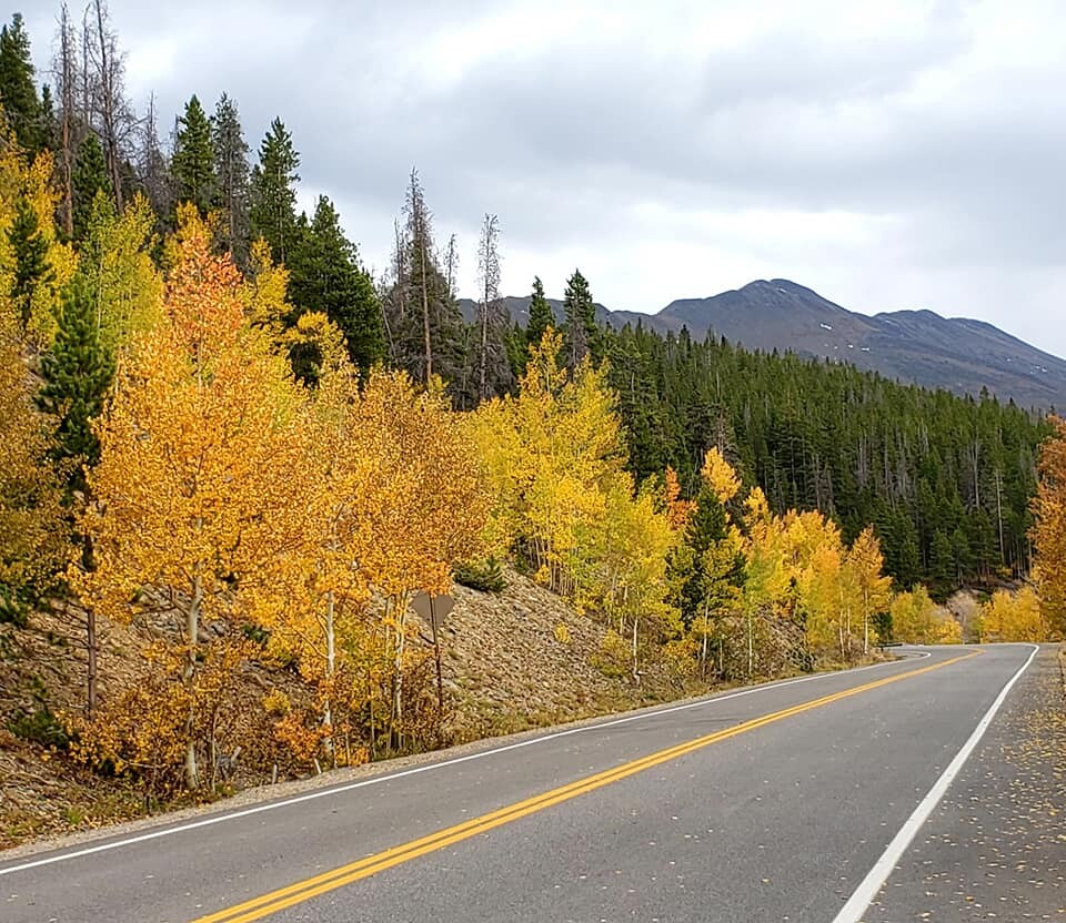 2020 aspens_Breckenridge by Janette Jaynes