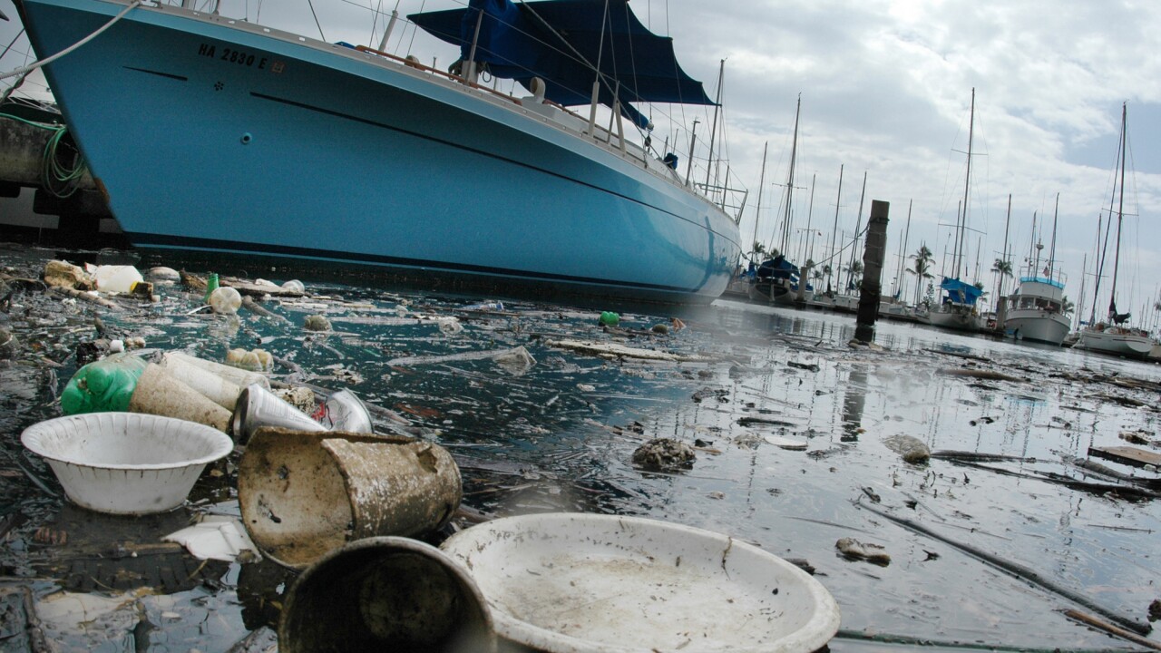 POLLUTION IN PARADISE