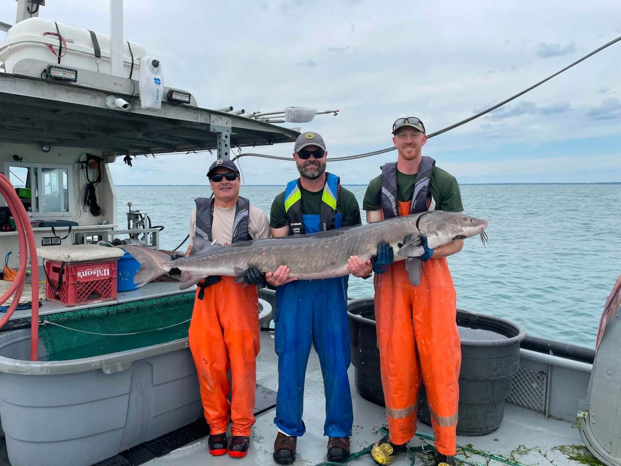 Andrew Briggs 75 inch sturgeon.jpg