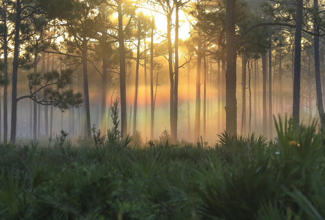 Jonathan Dickinson State Park