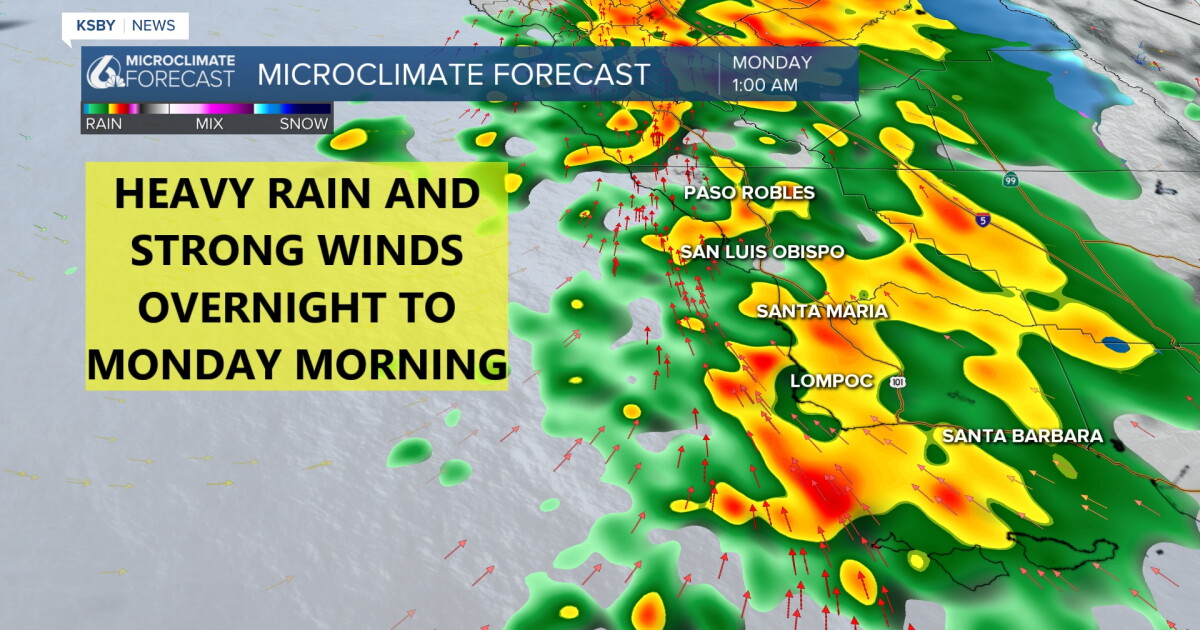 Heavy rain, thunderstorms, and strong winds overnight to Monday Morning