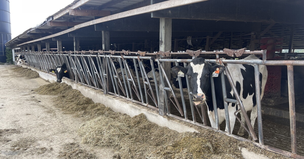 Joining the fight against climate change could save the family farm - Vimarsana News