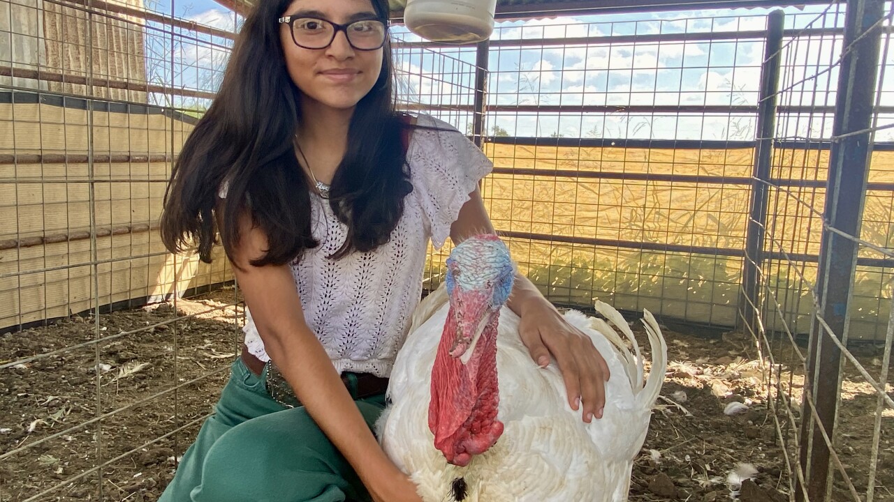 jwc fair turkey