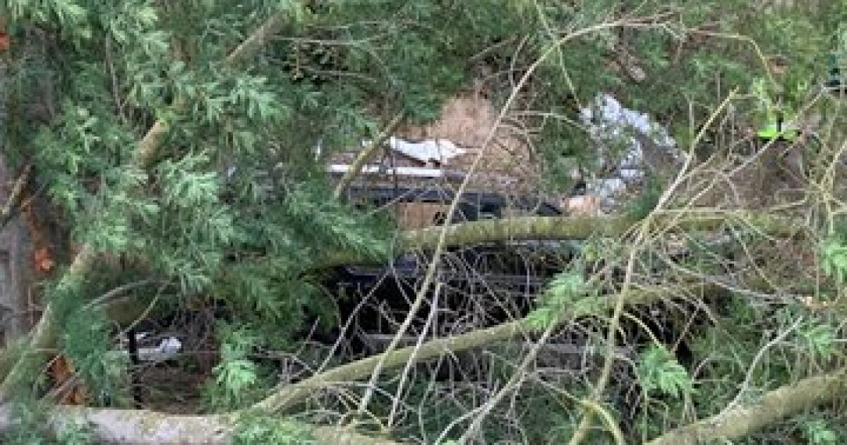 1 killed, 4 injured in crash on Highway 101 in Montecito - Vimarsana News