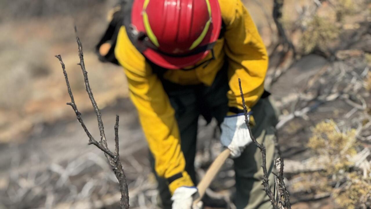 sowbelly fire firefighter.jpg