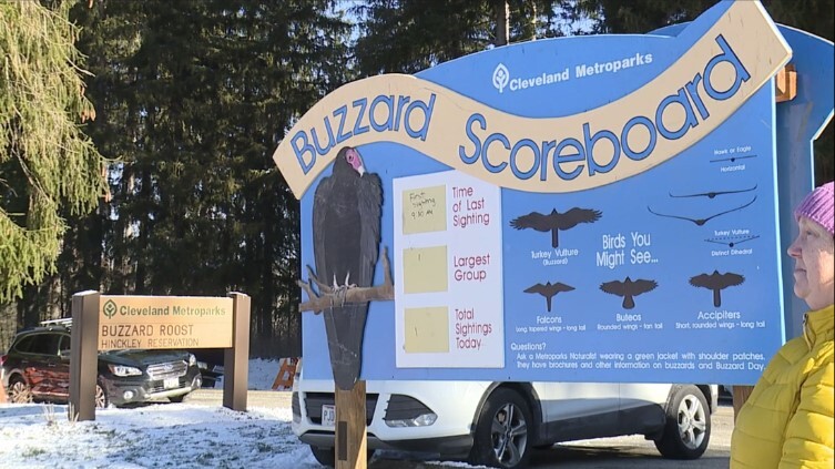 Buzzard Scoreboard.jpg