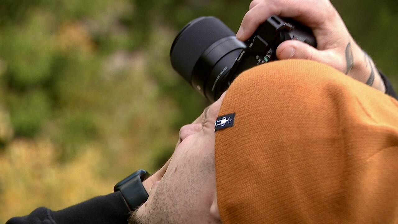 taking photos of the trees.jpg