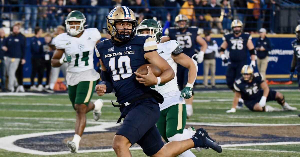 Former Montana State QB Sean Chambers gets NFL rookie minicamp invite from Carolina Panthers