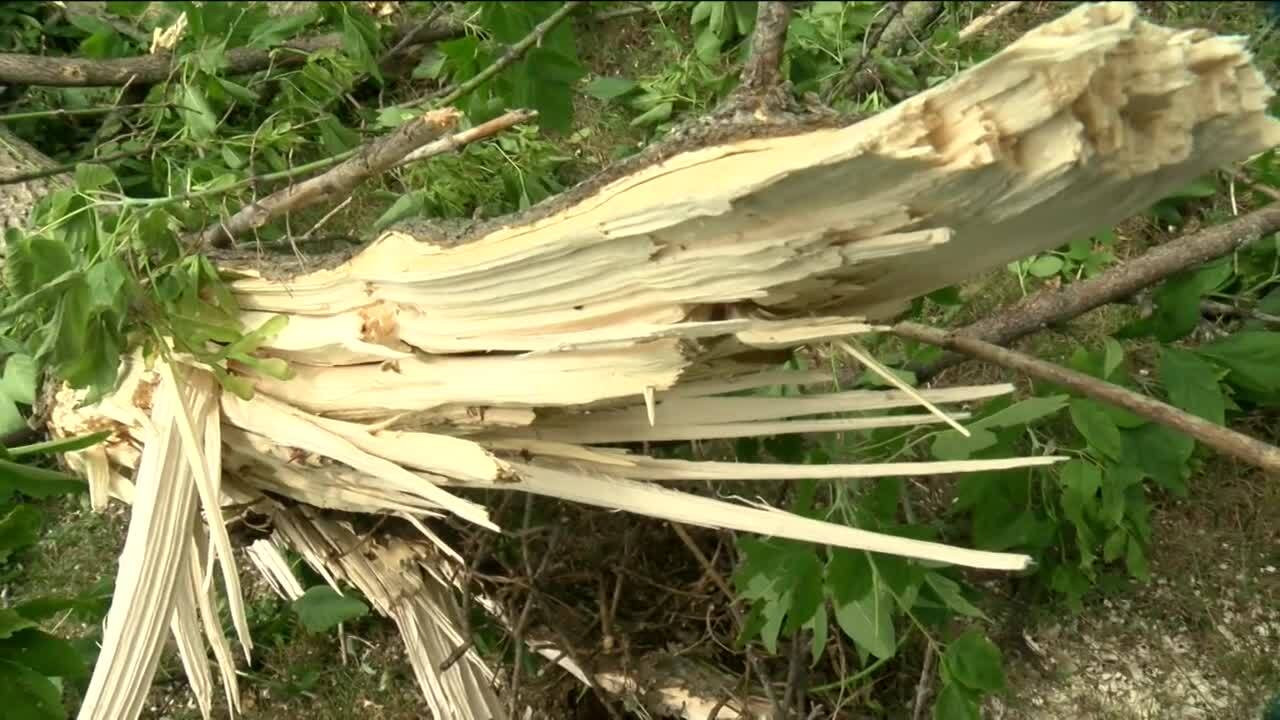 Poster image - 2021-07-29T181721.612.jpg