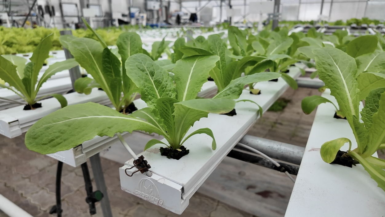 Screenshot 2025-11-26 at 5.39.34 PM.png