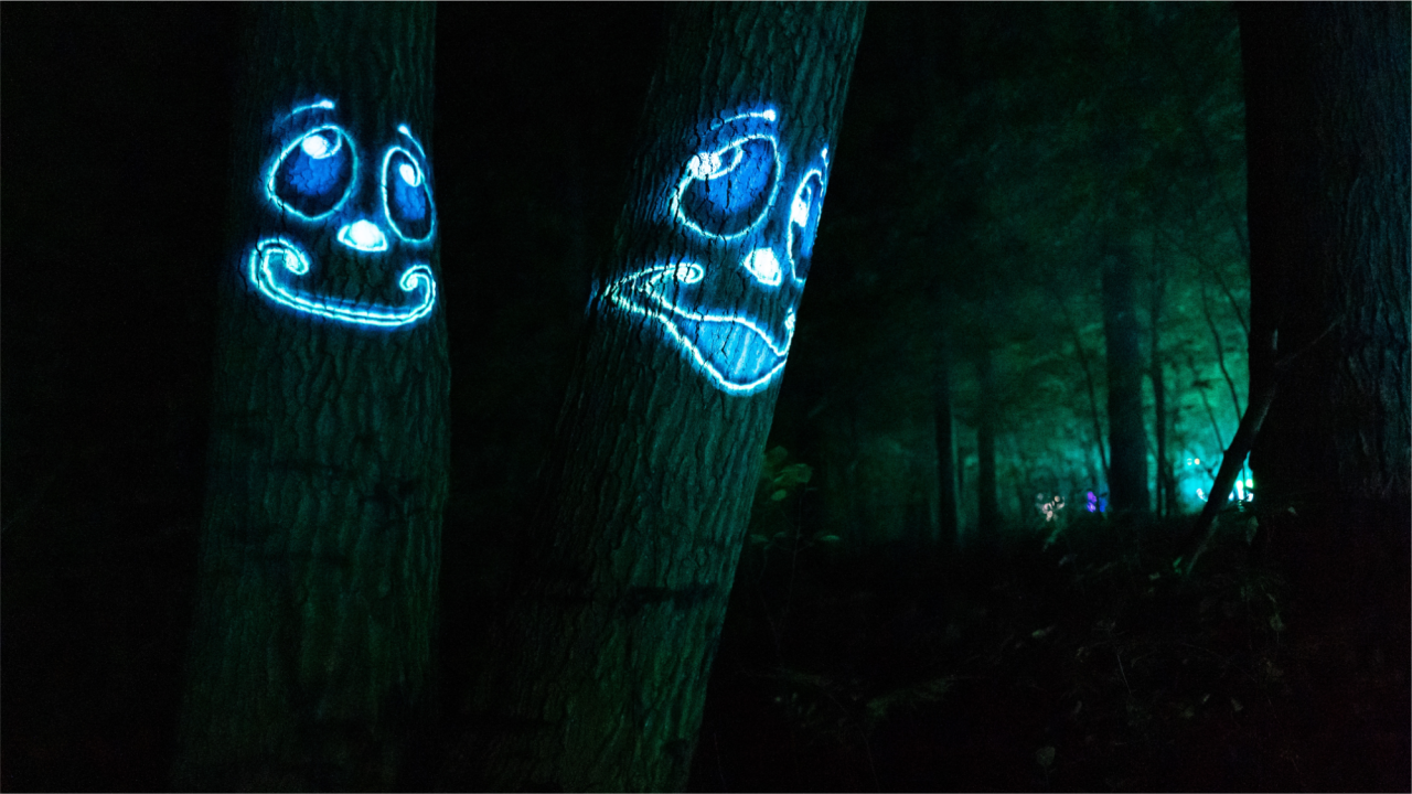 JBZoo_IllumiZoo08.png
