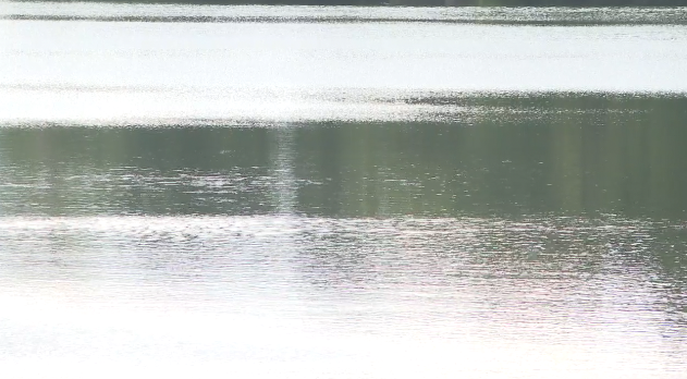 Screenshot 2025-06-30 at 5.42.44 PM.png