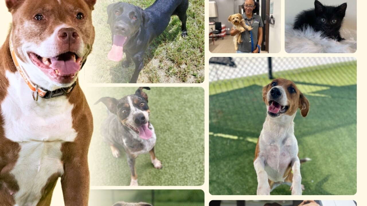 LASCC & ASPCA.jpg