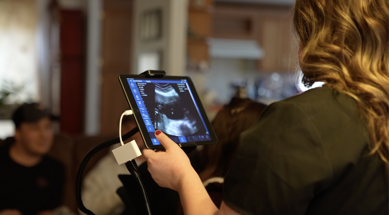 Screen Shot 2021-02-10 at 3.56.43 PM.png