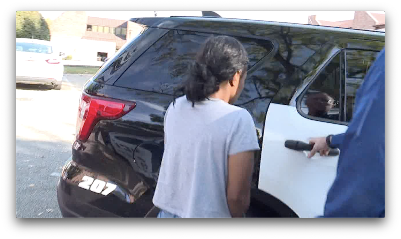 Screen Shot 2019-10-11 at 11.27.32 AM.png