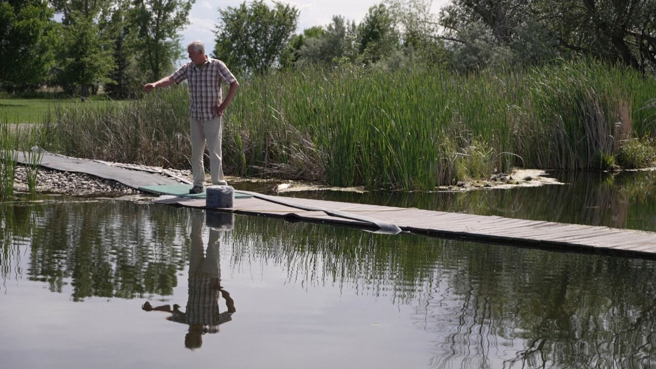floatingisland7_2.27.1.jpg