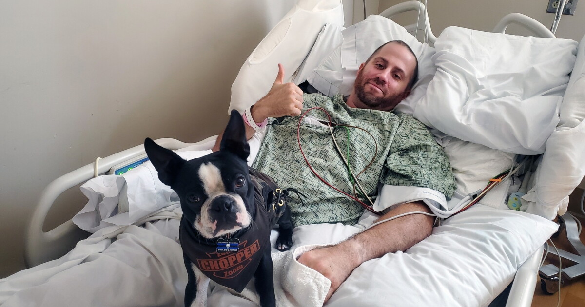 Chopper the Biker Dog Jr. brings comfort to wounded San Diego sergeant - Vimarsana News