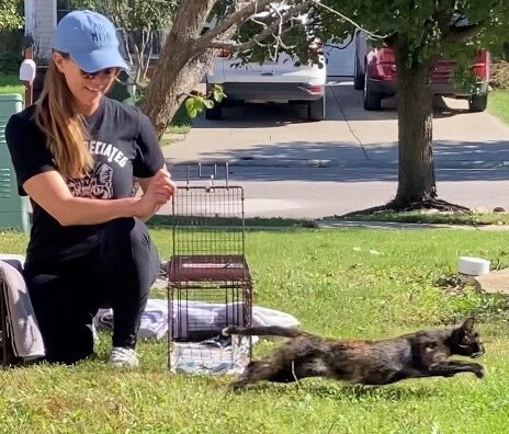 Melanie Dial returns a newly spayed mama cat back to her community. The mama cat is shown running out of the trap like she's in a race with a big money prize.