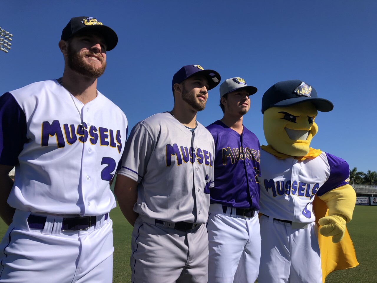 Mighty Mussels 1.jpg