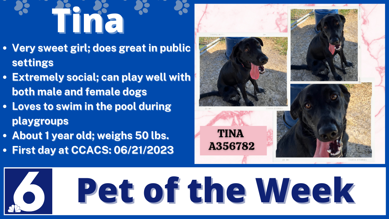Pet of the Week: Tina